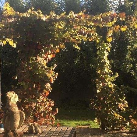 A'Meadow Bed and Breakfast Trentham Eksteriør billede
