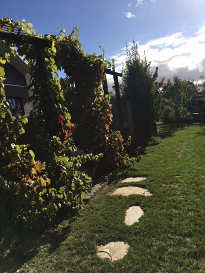 A'Meadow Bed and Breakfast Trentham Eksteriør billede